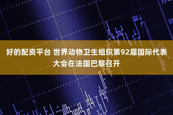 好的配资平台 世界动物卫生组织第92届国际代表大会在法国巴黎召开