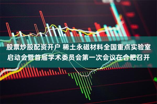 股票炒股配资开户 稀土永磁材料全国重点实验室启动会暨首届学术委员会第一次会议在合肥召开
